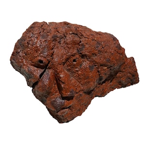 以下が含まれることがあります： 顔のような外観の、赤茶色の質感のある岩石。岩には2つの目のように見える穴と鼻のような突起があり、自然な彫刻を形成しています。表面はざらざらとしていて、でこぼこしています。
