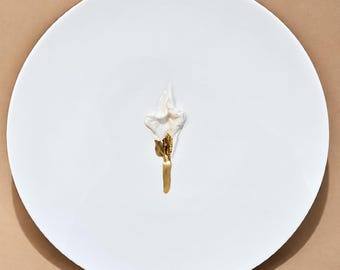 VULVA HYPNOTICA XXI - original porcelain wall sculpture by Zlatina Krusteva