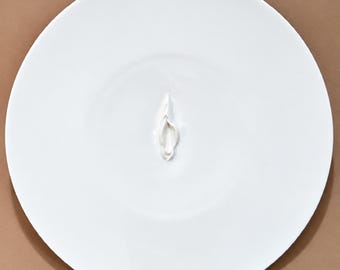 VULVA HYPNOTICA XIX - original porcelain wall sculpture by Zlatina Krusteva