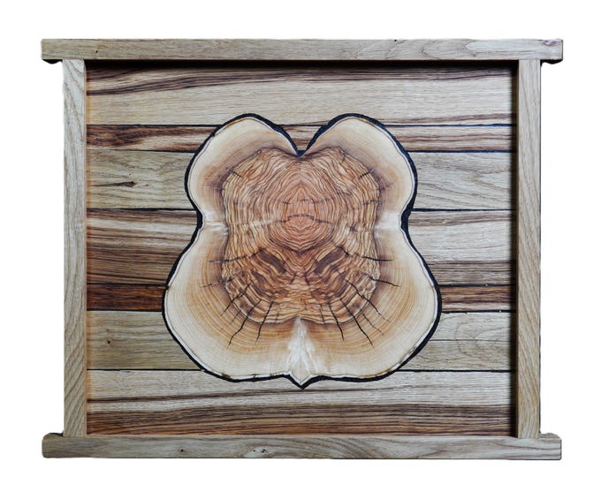 INNER BEAUTY  - original wood wall sculpture by Sava Draganov