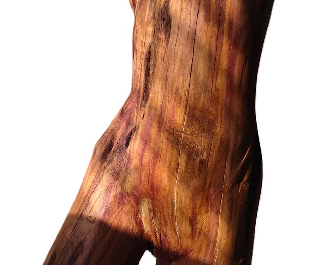 CAVORT - original wood sculpture by Rasho Mitev