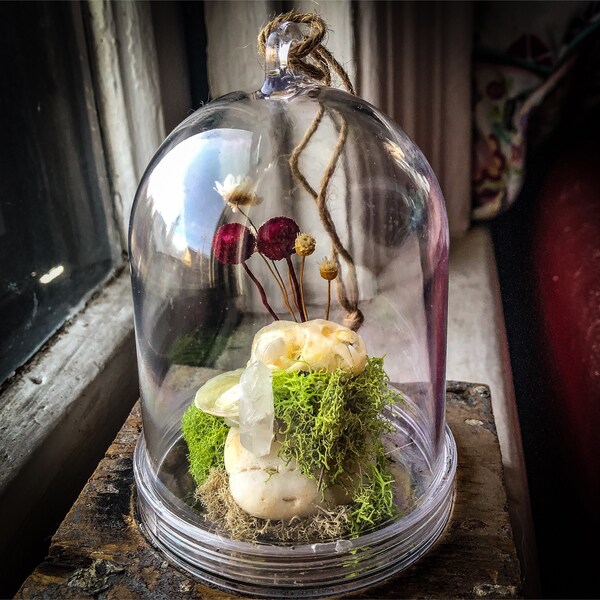 One of a Kind Real Bat Skull And Crystal Hanging Acrylic Dome - Ornament - Taxidermy - Bones - Home Decor - Oddities
