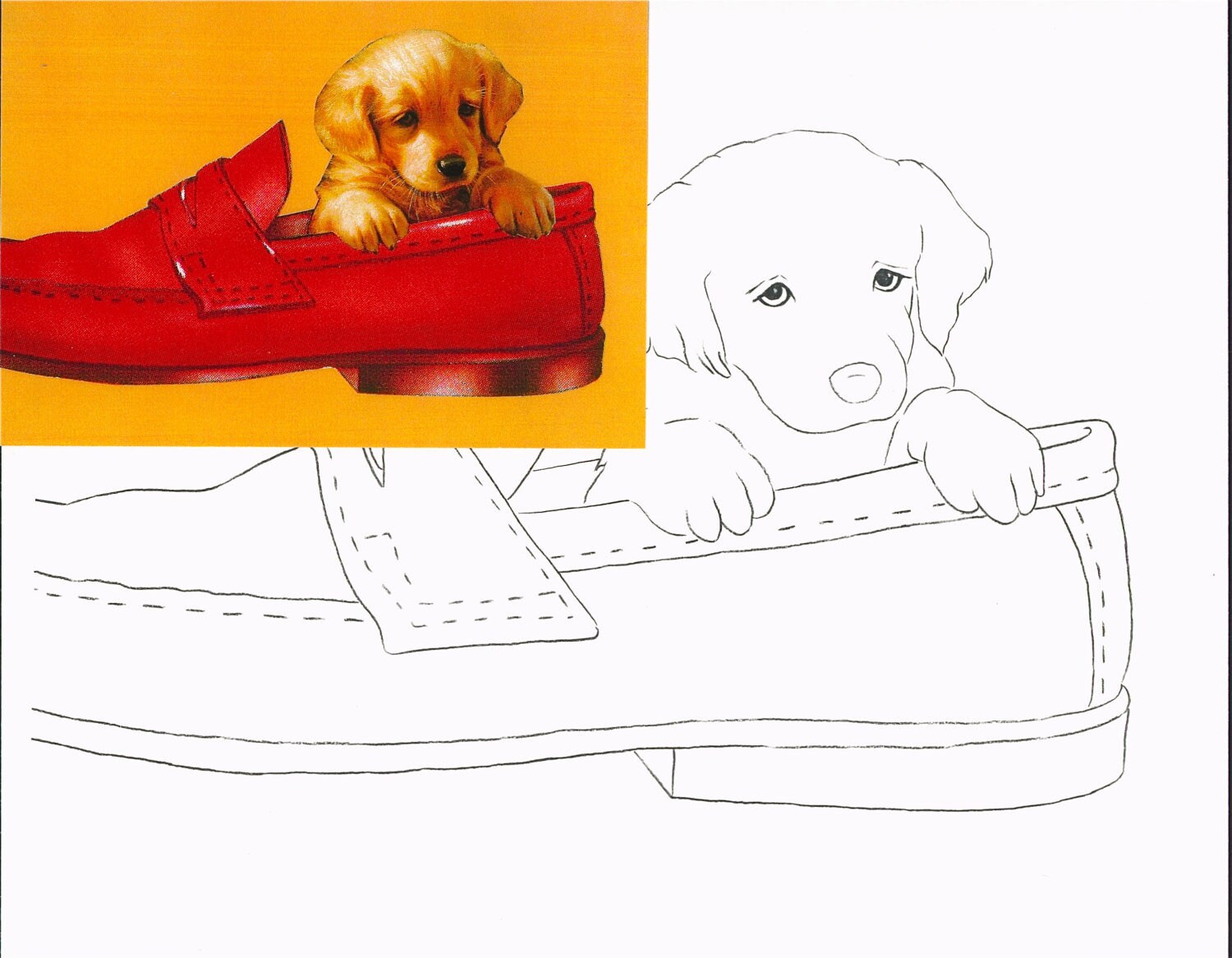 Picture 30 Puppy in Shoe Personalized gift Presketched Etsy.de