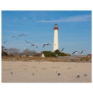 May include: A white lighthouse with a red roof stands tall against a blue sky. Seagulls fly overhead and are perched on the beach in the foreground. The lighthouse is on a sandy beach with green grass and trees in the background.