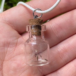 Wish in a Bottle Necklaces