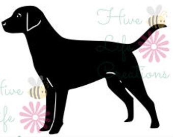 Black Lab Svg Etsy