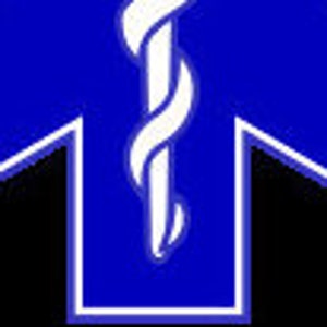 Star of Life SVG * star of life instant download * EMT Paramedic SVG * svg dxf, png file * Cricut Silohouette download file* medical symbol image 5