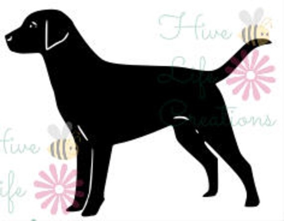 Download Labrador Retriever Instant Download Lab Dog Silhouette Svg Etsy