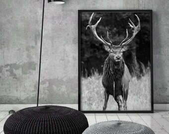 Elk Art Print, Deer, Wall Art, Poster, Printable, Digital Download, Minimalist, Winter, Canada, Black Deer, Christmas, Antlers, Scandinavian