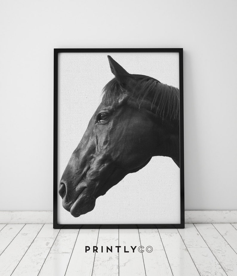 Black Horse Head Print, Art Print, Horse Art, Poster, Wall Decor, Printable, Digital Download