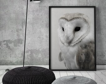Owl Art Print, Printable File, Digital Download, Scandinavian, Modern, Minimalist, Winter, Owls, Nature, Bird, Wall Decor,Poster,Print,White