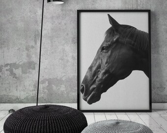 Black Horse Head Print, Art Print, Horse Art, Poster, Wall Decor, Printable, Digital Download, Horses, Wall Print, Horse, Stallion, Black