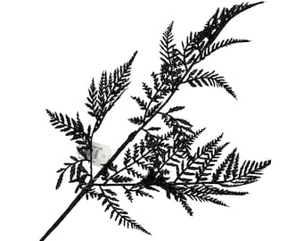 18.5"L Glitter Fern Leaf Spray: Black, Black Laser Cut Glitter Leaves, Valentine’s Day Decor, Halloween Spray, Christmas Accent, XS244102