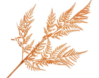 May include: A single, dried fern frond in shades of orange and brown against a white background. The fern's delicate, detailed leaves extend from a central stem, creating a natural, botanical aesthetic. Ideal for home decor or crafting.