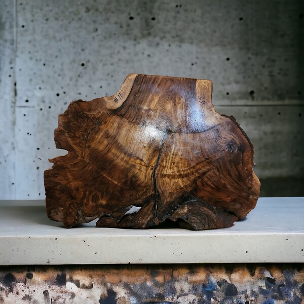 Claro Walnut Burl Slab/DIY/Wall art/ epoxy table/resin table/guitar slab/E43