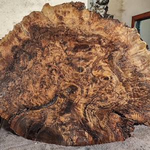 May include: A large, circular wood slab featuring a complex, swirling burl grain pattern. The surface displays a rich palette of dark brown, tan, and golden hues, with natural organic textures, knots, and deep fissures throughout the wood grain.