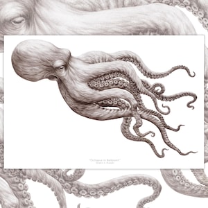 Octopus in Ballpoint - Fine Art Print