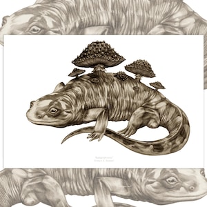 Adaptations (Tiger Salamander & Mushrooms) - Fine Art Print