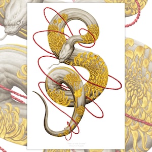 Year of the Snake - Fine Art Print