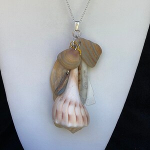 May include: A silver necklace featuring a pendant made of various seashells and small stones. The pendant includes a large, ribbed conch shell, a small clam shell, and several other natural elements, all suspended from a silver chain.