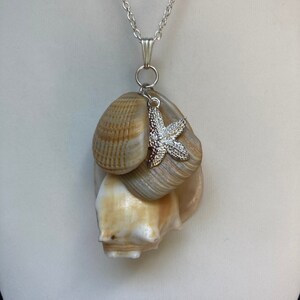 Sea shell pendant necklace, ocean shells clustered with different types of shells a Sterling plated charm on a Sterling plated chain