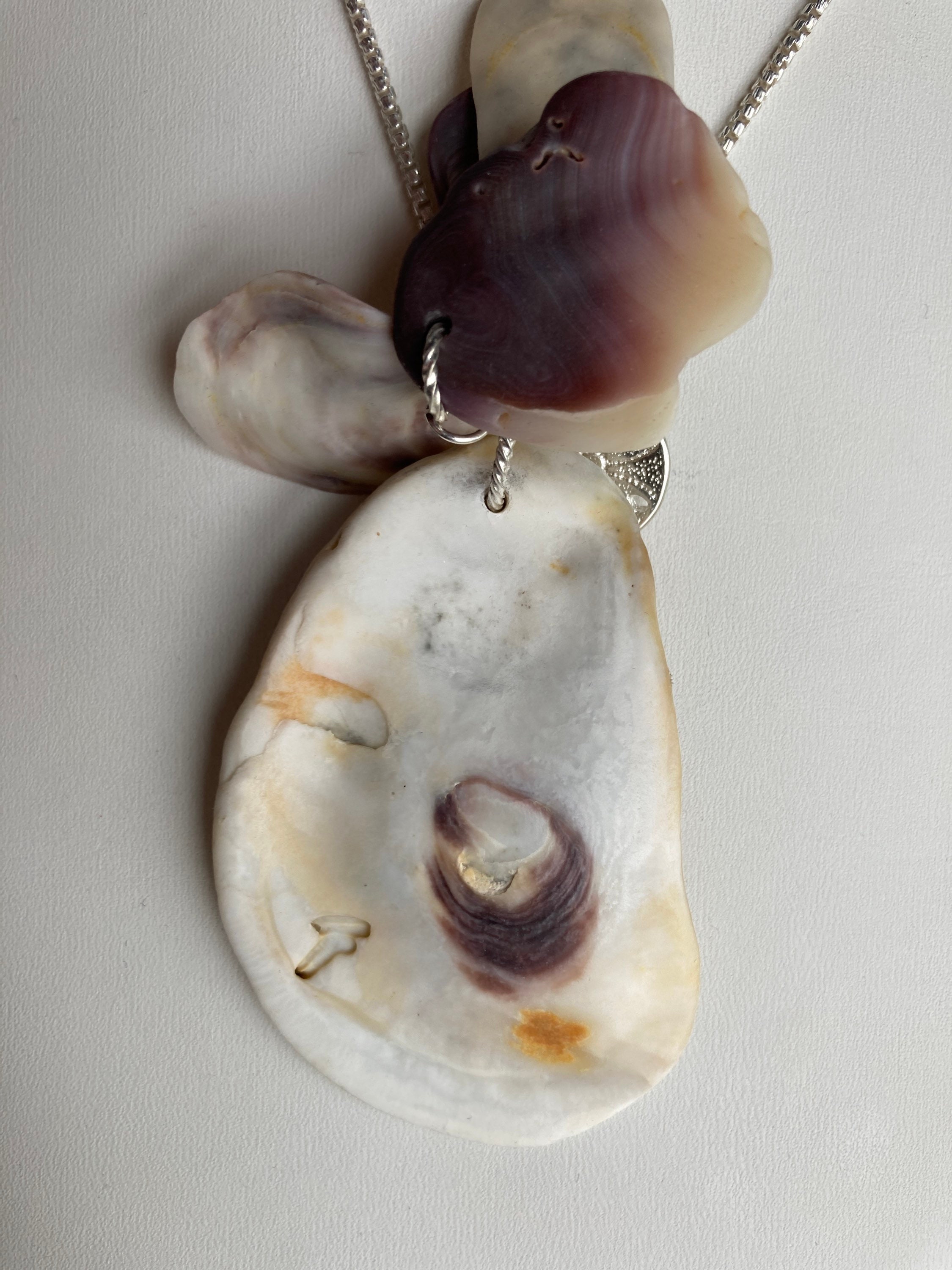 Shell On Chain Sea Shell Pendant Necklace, Ocean Shells Clustered With a Sterling ...