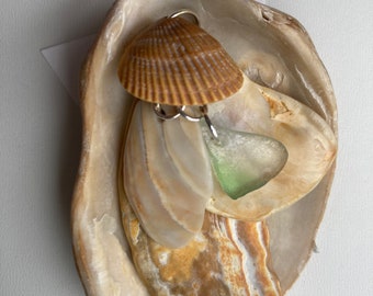 Sea shell pendant necklace, sea shells clustered with a piece of green beach glass on a sterling plated 20" loop chain