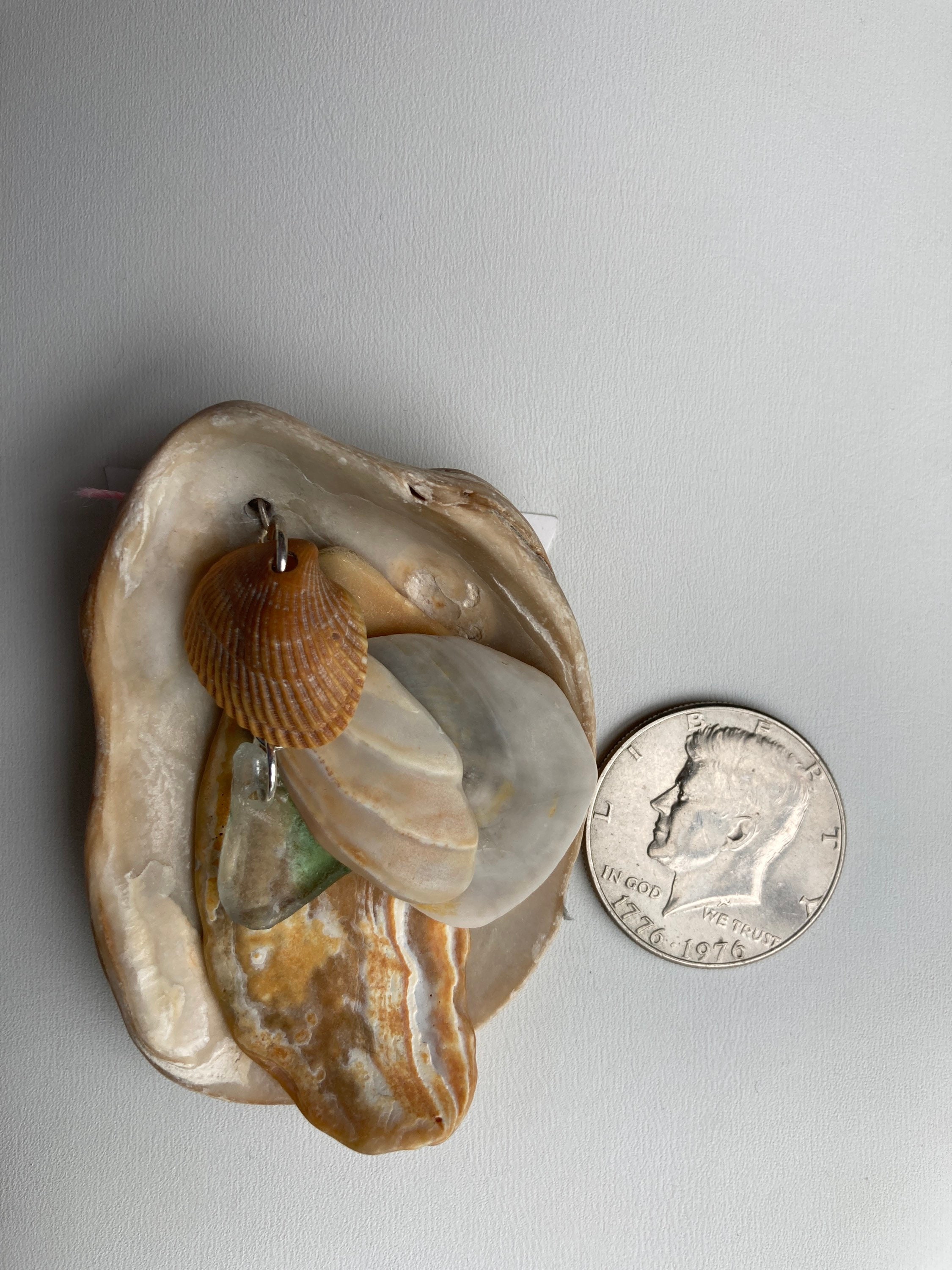 Shell Coin Pendant Sea Shell Pendant Necklace, Sea Shells Clustered With a Piece of Green ...
