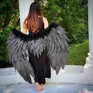 Wings Albedo from Overlord