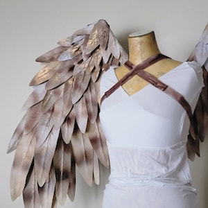 Owl wings