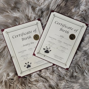 Op de afbeelding: Twee geboortecertificaten met bordeauxrode randen en gouden zegels. De certificaten hebben bovenaan de woorden "Geboorteakte", met daaronder de namen "Rayley Sky" en "Ellie". Voetafdrukken staan onderaan.