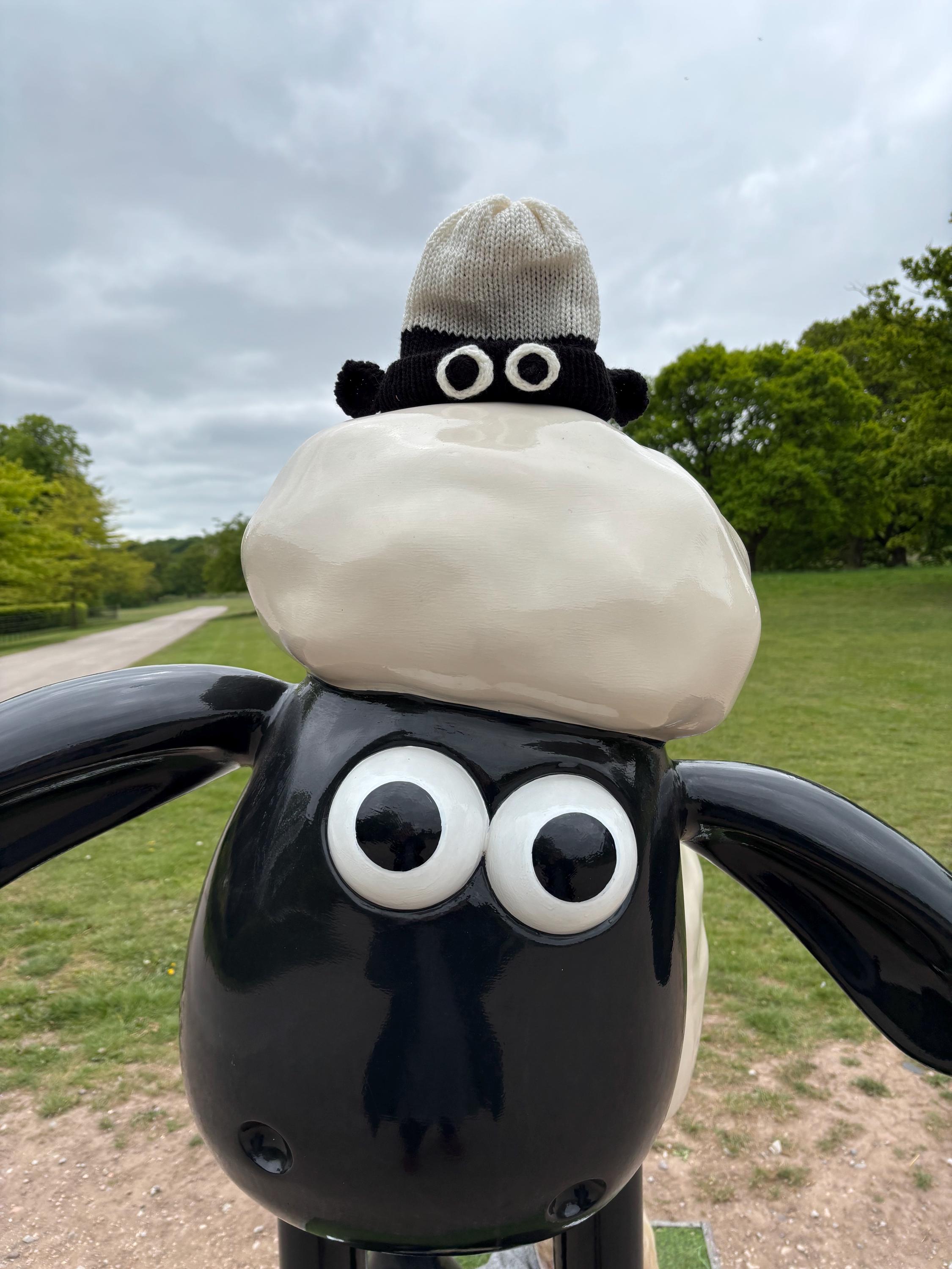 Shaun the Sheep Hat - Etsy