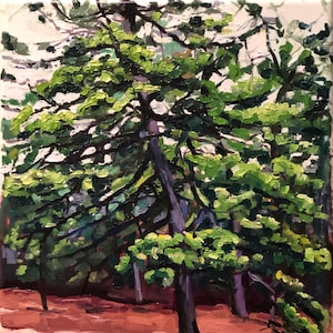 Original oil painting of pine tree, oil on canvas art, green painting, home decor, nature art painting, 14in x 11in.