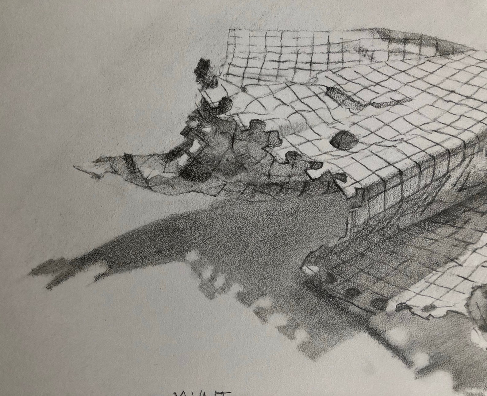 Original Realistic Graphite Drawing on Paper Pencil Drawing Etsy