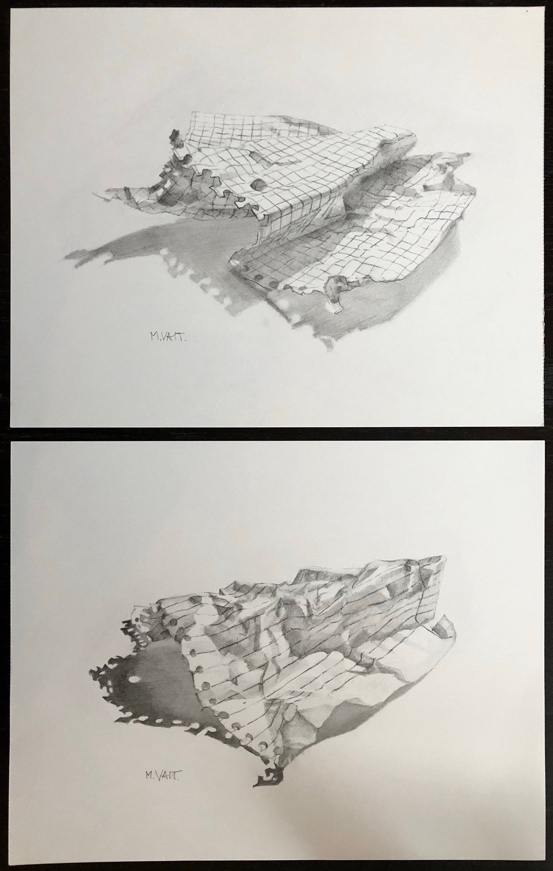 Original Realistic Graphite Drawing on Paper Pencil Drawing Etsy