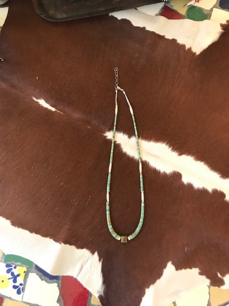 Sterling Silver Turquoise Contemporary Heishi Necklace