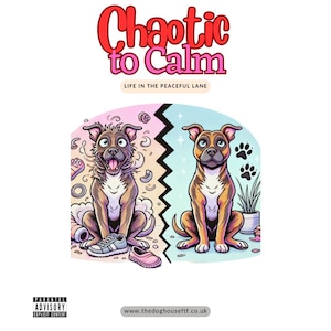 Chaotic to Calm - Reactive Dog Training | Chaotic to Calm Course | Help for Barking, Lunging & Anxious Dogs | Freework and Positive Training