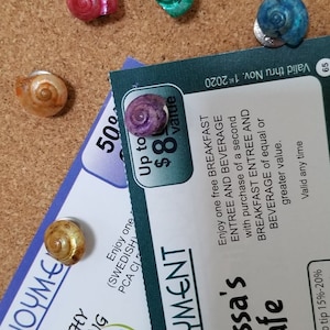 Pearlized Shell Pushpins: Coastal Office Thumb Tacks