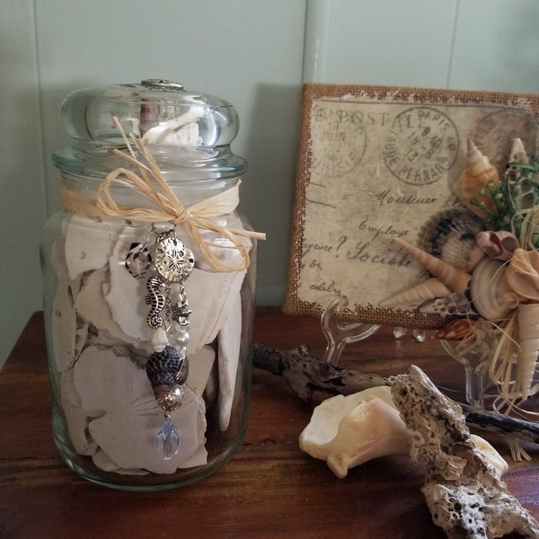 Sand Dollars, Sand Dollars in Glass Jar, Upcycled Yankee Candle Jar with Sand Dollar Pieces, Coastal Decorative Jar, Nautical Decorative Jar