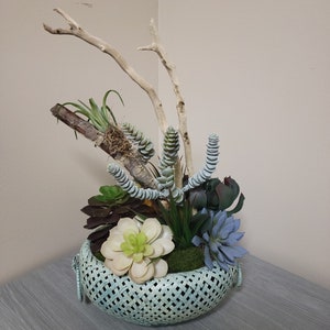 Bois flotté dans un panier recyclé avec arrangement de fausses plantes grasses, arrangement de plantes succulentes côtières, fausses plantes grasses, arrangement en bois flotté véritable