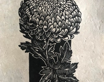 Chrysanthème