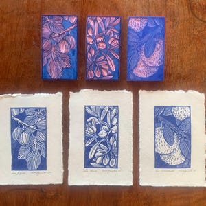 Könnte beinhalten: Eine Sammlung botanischer Kunstdrucke mit blau-rosa Illustrationen von Früchten und Blättern. Die Drucke zeigen Pflaumen, Oliven und Birnen, mit Text am unteren Rand. Die Drucke sind auf strukturiertem, cremefarbenem Papier.