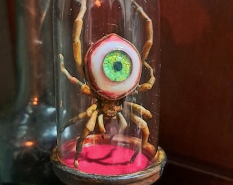 Araña ocular