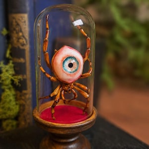 Könnte beinhalten: Eine braune, vielbeinige Spinnenskulptur mit einem großen, realistisch wirkenden menschlichen Auge als Körper. Das Wesen befindet sich unter einer klaren Glasglocke, die auf einem runden Holzsockel mit rotem Samtbezug steht.