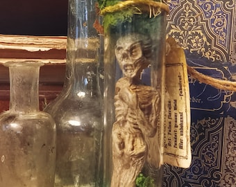 Hada momificada