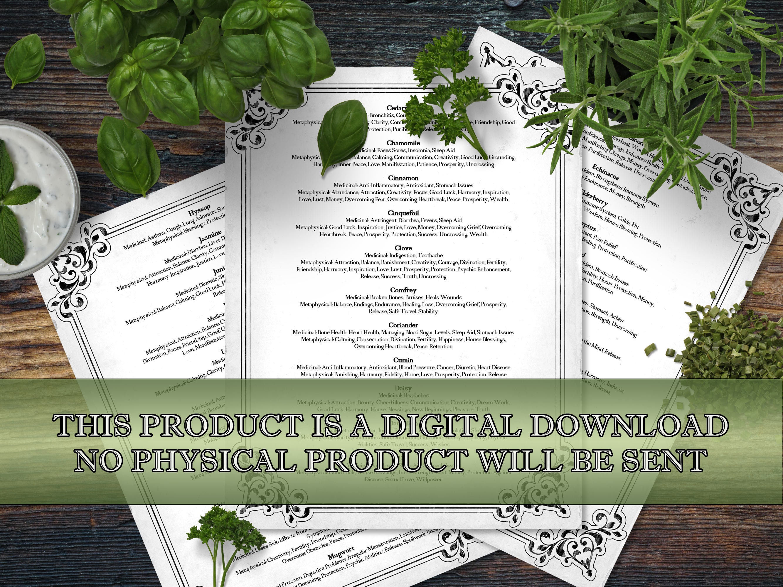 Herbology Cheat Sheets for Beginners Grimoire Pages Etsy
