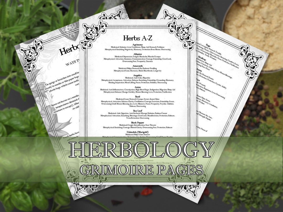 Herbology Cheat Sheets for Beginners Grimoire Pages Etsy