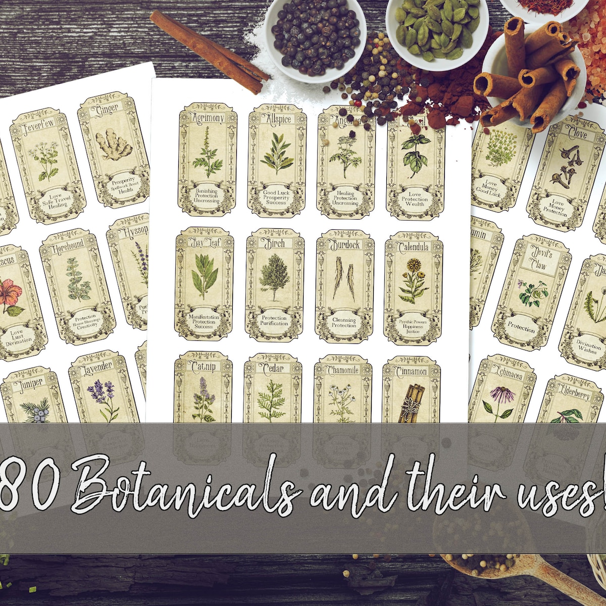 Old-fashioned Antique Apothecary Spice Jar Labels With Correspondences - Etsy