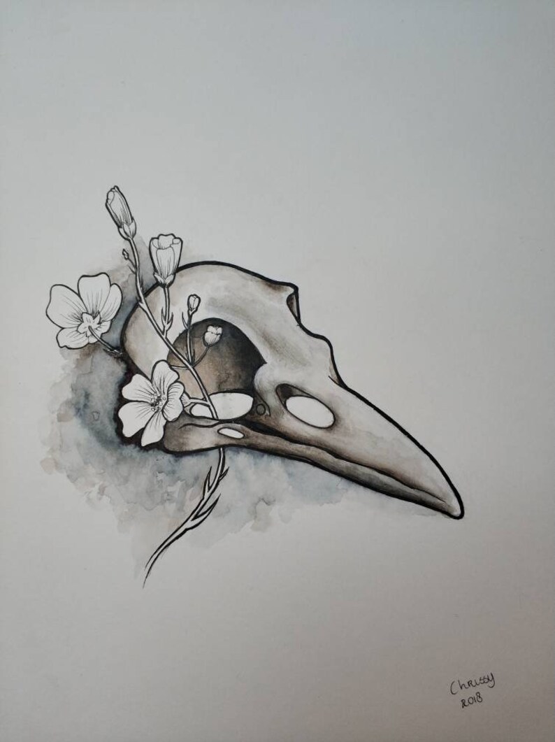 Bird Skull Original Piece of Art Drawing Bird Skull With Etsy