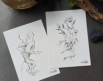 Card set frog – Fine art print – A6